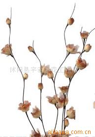 供應葉脈花、龍柳、三叉木、龍桑、蘆葦專業指南