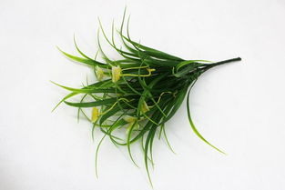 仿真花蝴蝶把花套裝 點亮客廳裝飾的創(chuàng)意壁掛藝術